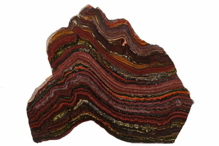 Polished Tiger Iron Stromatolite Slab - Billion Years #178768